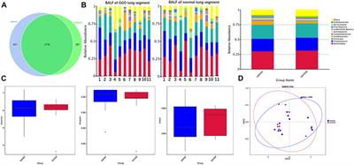 The microbiome of lower respiratory tract and tumor tissue in lung cancer manifested as radiological ground-glass opacity